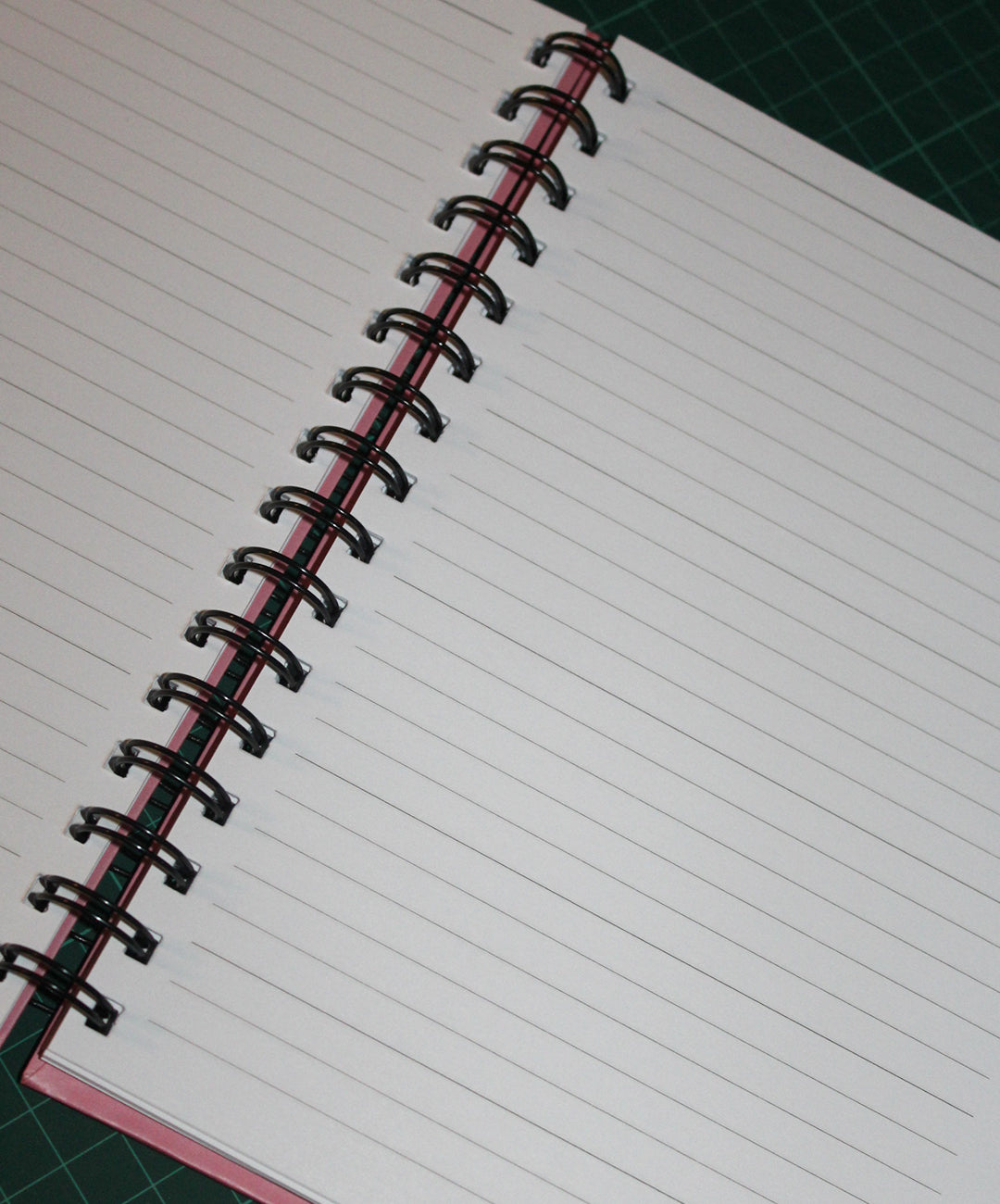 Capricorn Notebook
