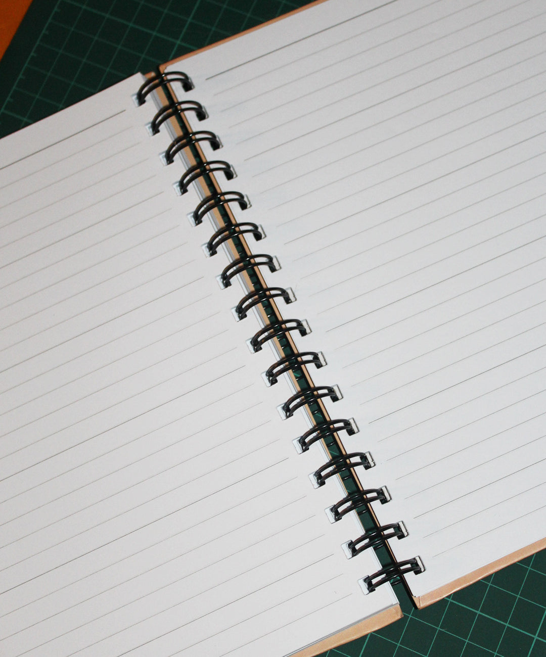 Pisces Notebook